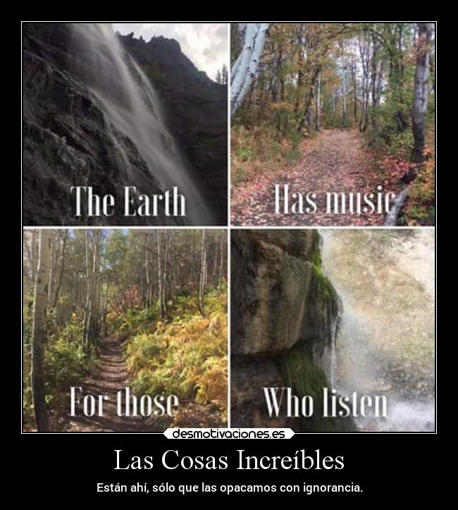 Las Cosas Increíbles - Están ahí, sólo que las opacamos con ignorancia.