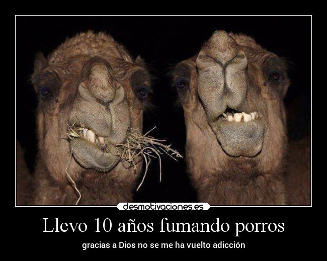 Llevo 10 años fumando porros -