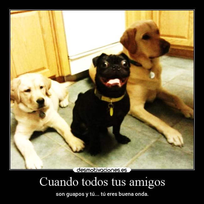 Cuando todos tus amigos - son guapos y tú... tú eres buena onda.