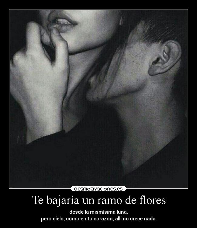 Te bajaría un ramo de flores - 