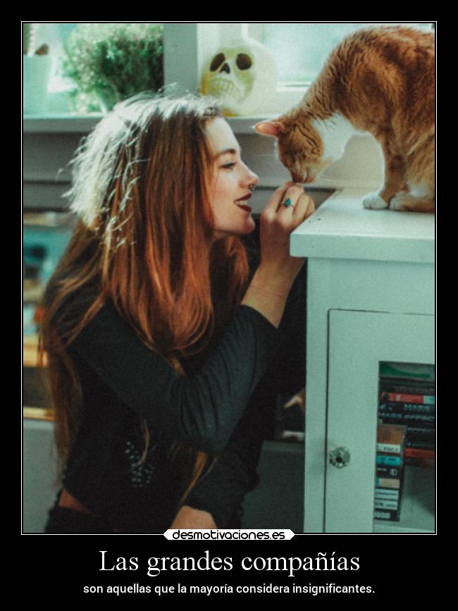 Las grandes compañías - son aquellas que la mayoría considera insignificantes.