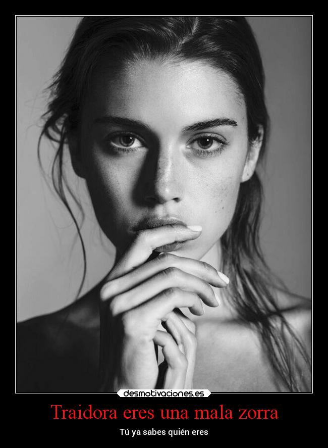 Traidora eres una mala zorra - Tú ya sabes quién eres