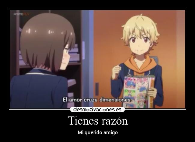 Tienes razón - Mi querido amigo