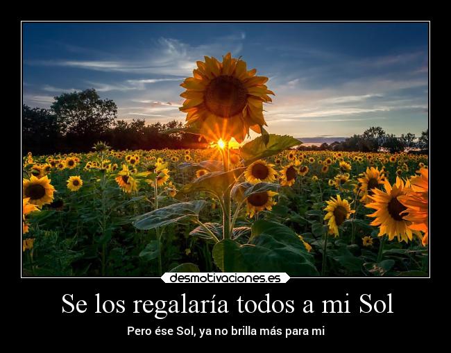 Se los regalaría todos a mi Sol -