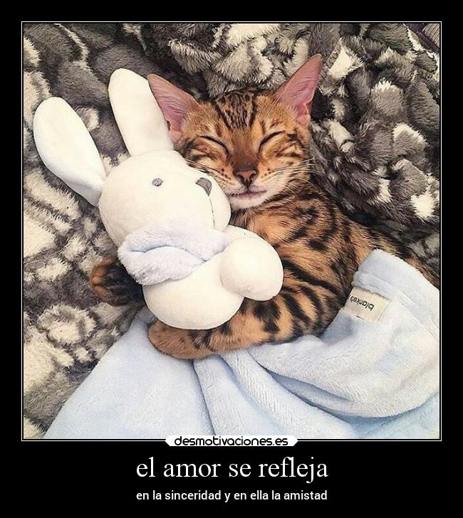 el amor se refleja - en la sinceridad y en ella la amistad