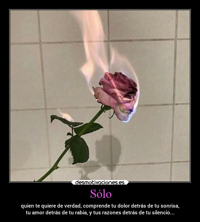 carteles amor desmotivaciones