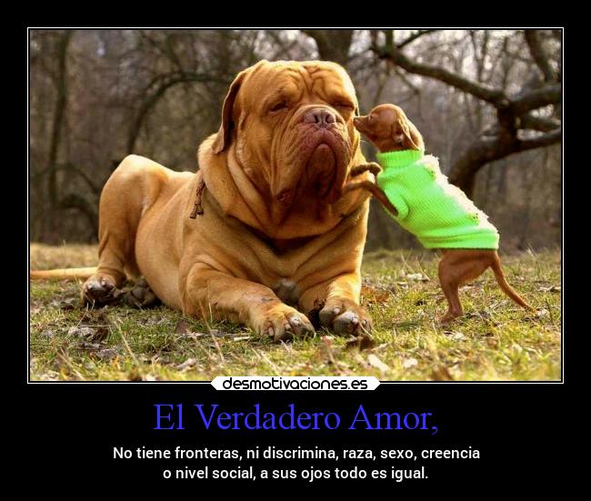 El Verdadero Amor, - No tiene fronteras, ni discrimina, raza, sexo, creencia
o nivel social, a sus ojos todo es igual.