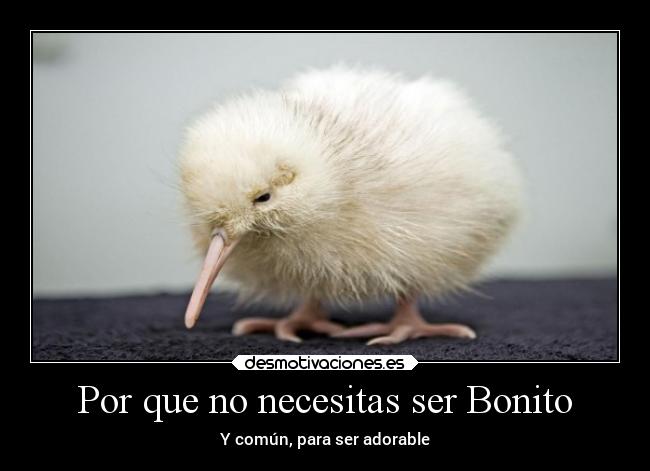 Por que no necesitas ser Bonito - Y común, para ser adorable