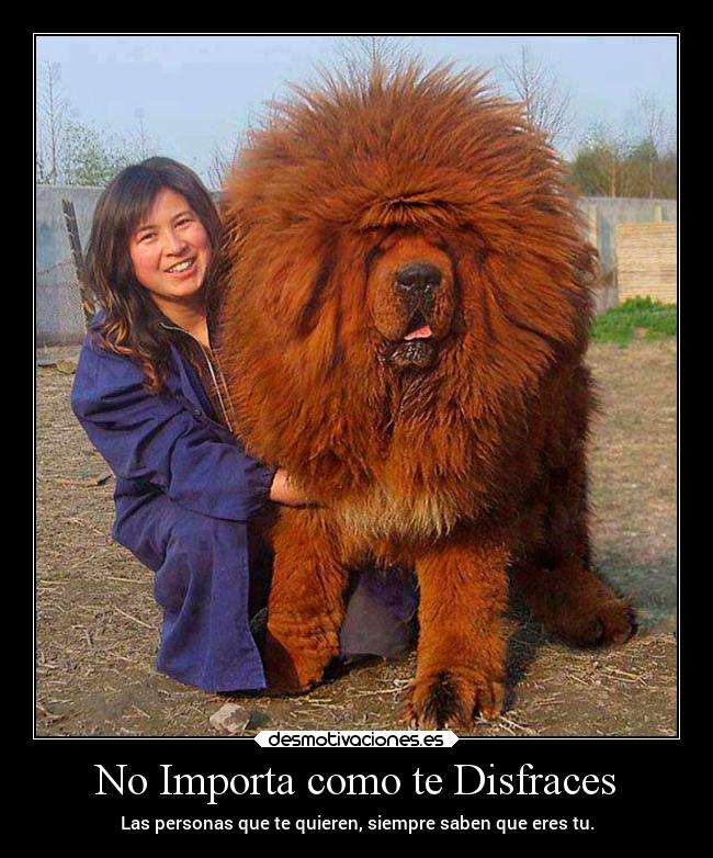 No Importa como te Disfraces - Las personas que te quieren, siempre saben que eres tu.