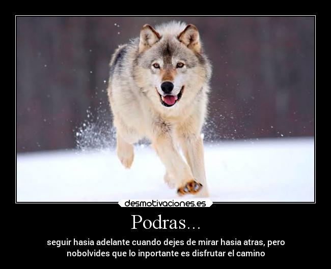Podras... - seguir hasia adelante cuando dejes de mirar hasia atras, pero
nobolvides que lo inportante es disfrutar el camino
