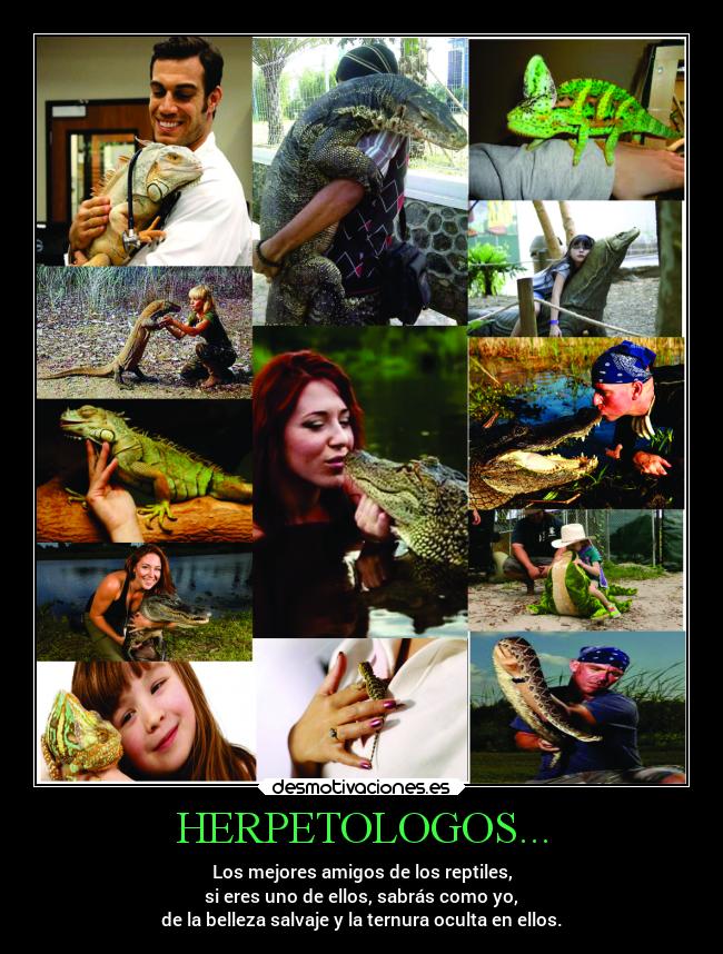HERPETOLOGOS... - Los mejores amigos de los reptiles,
si eres uno de ellos, sabrás como yo,
de la belleza salvaje y la ternura oculta en ellos.