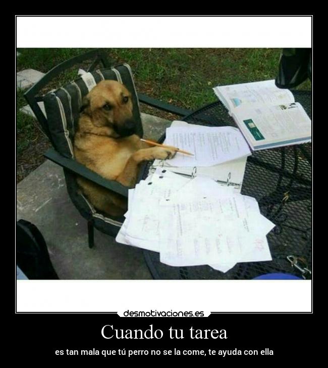 Cuando tu tarea -