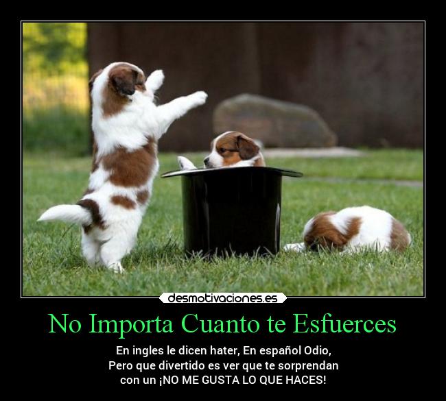 No Importa Cuanto te Esfuerces - En ingles le dicen hater, En español Odio,
Pero que divertido es ver que te sorprendan
con un ¡NO ME GUSTA LO QUE HACES!