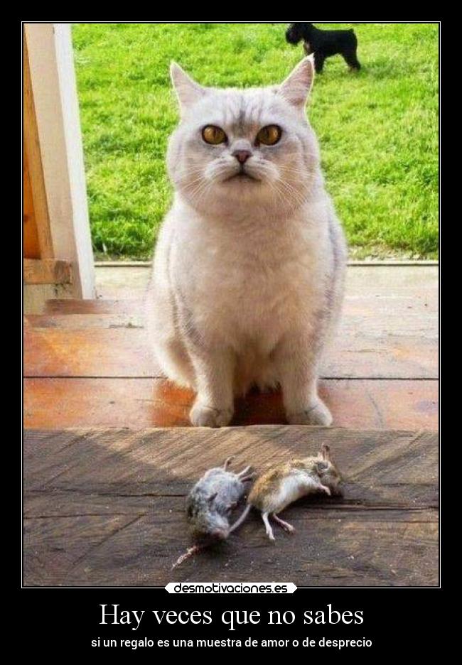 Hay veces que no sabes -