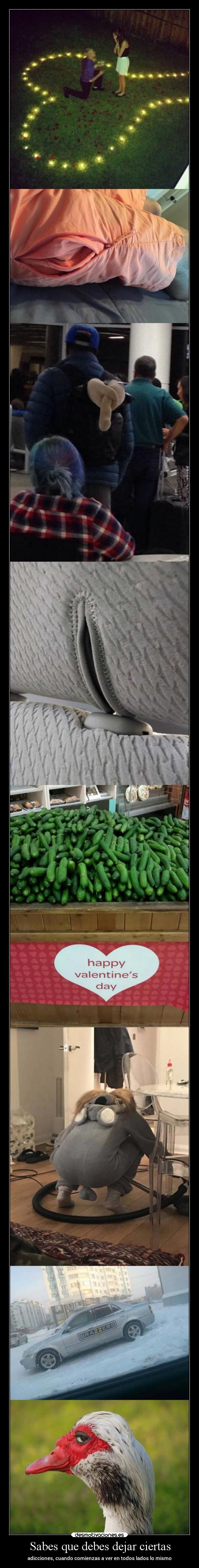 carteles animales jalaleelpezcuezoalganzoxd desmotivaciones