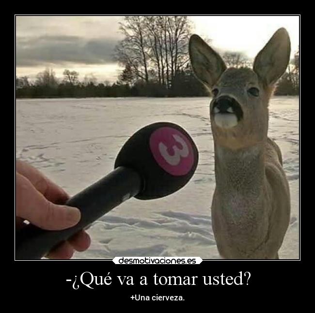 -¿Qué va a tomar usted? -