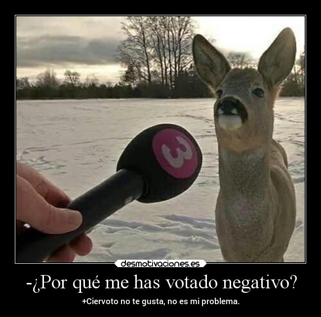 -¿Por qué me has votado negativo? -