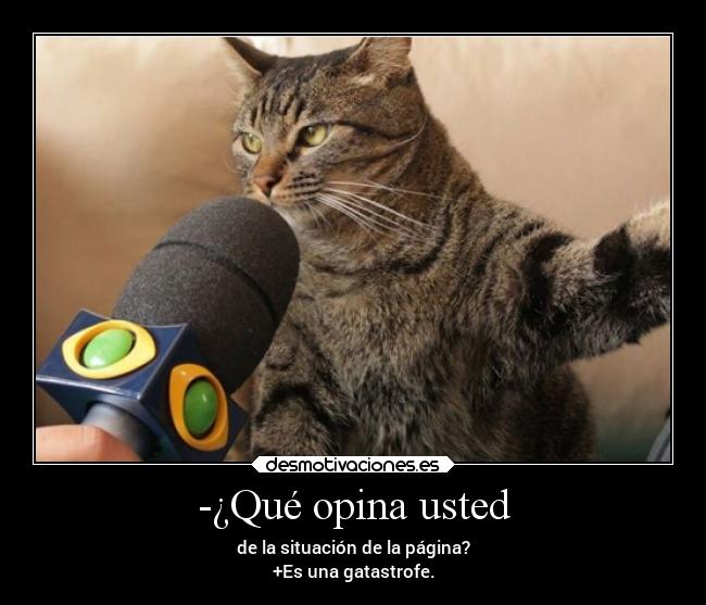 -¿Qué opina usted -