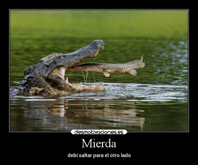 carteles arte animales pejelagartos cocodrilos desmotivaciones