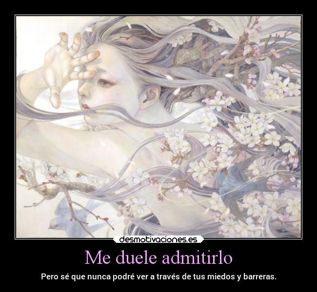 Me duele admitirlo - Pero sé que nunca podré ver a través de tus miedos y barreras.