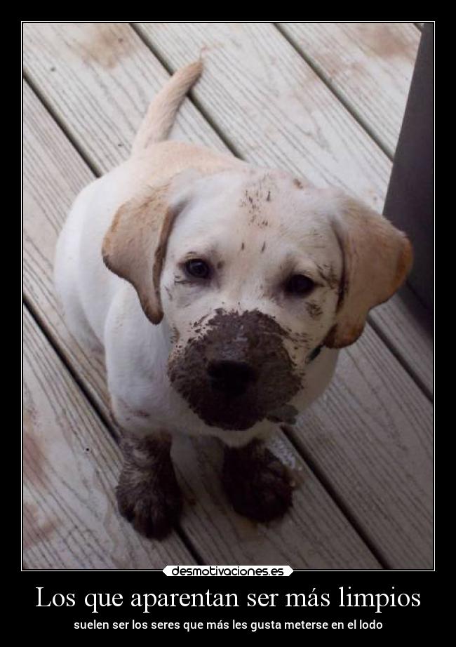 Los que aparentan ser más limpios -