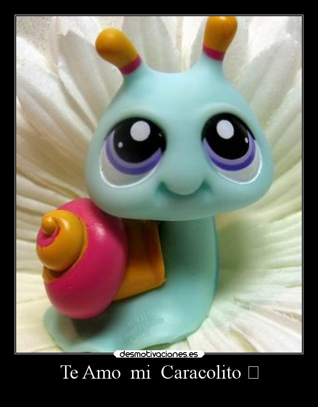 Te Amo  mi  Caracolito ♡ - 