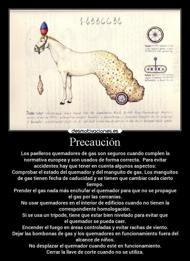 Precaución - Los paelleros quemadores de gas son seguros cuando cumplen la
normativa europea y son usados de forma correcta.  Para evitar
accidentes hay que tener en cuenta algunos aspectos:
Comprobar el estado del quemador y del manguito de gas. Los manguitos
de gas tienen fecha de caducidad y se tienen que cambiar cada cierto
tiempo.
Prender el gas nada más enchufar el quemador para que no se propague
el gas por las cercanías.
No usar quemadores en el interior de edificios cuando no tienen la
correspondiente homologación.
Si se usa un trípode, tiene que estar bien nivelado para evitar que
el quemador se pueda caer.
Encender el fuego en áreas controladas y evitar rachas de viento.
Dejar las bombonas de gas y los quemadores en funcionamiento fuera del
alcance de niños.
No desplazar el quemador cuando esté en funcionamiento.
Cerrar la llave de corte cuando no se utiliza.