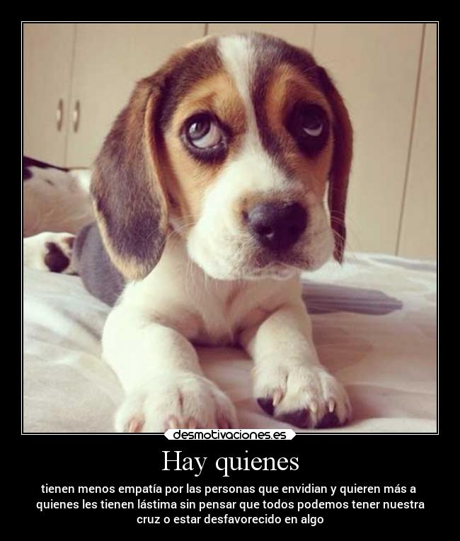Hay quienes - tienen menos empatía por las personas que envidian y quieren más a
quienes les tienen lástima sin pensar que todos podemos tener nuestra
cruz o estar desfavorecido en algo