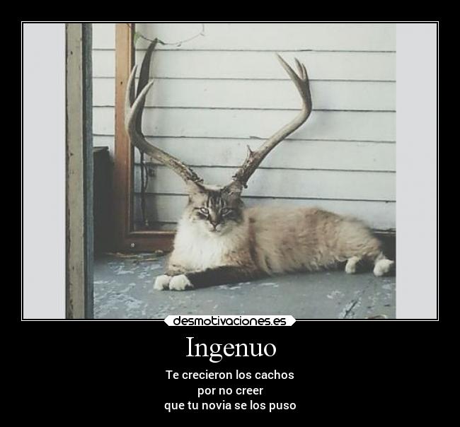 Ingenuo - Te crecieron los cachos
por no creer
que tu novia se los puso
