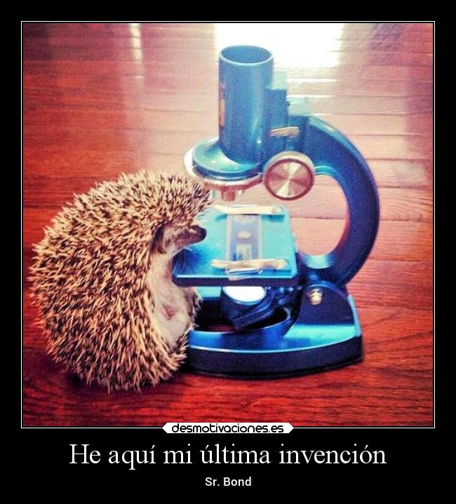 He aquí mi última invención -