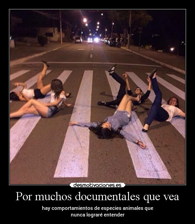 carteles comida desmotivaciones