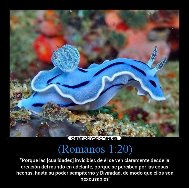 (Romanos 1:20) - 