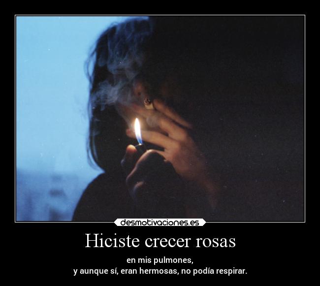 Hiciste crecer rosas -