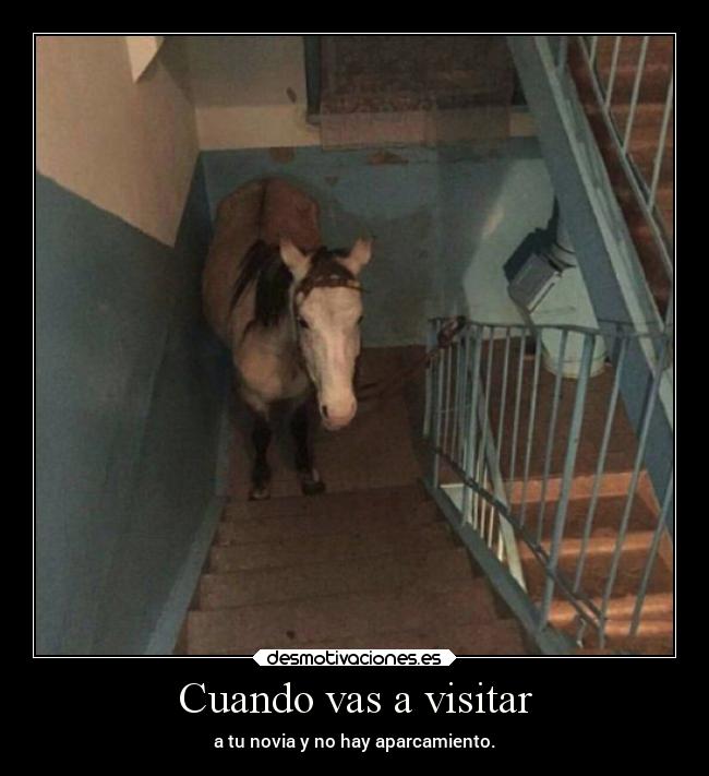 Cuando vas a visitar - a tu novia y no hay aparcamiento.