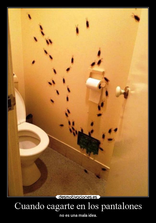 Cuando cagarte en los pantalones - no es una mala idea.
