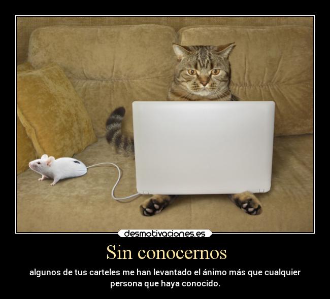 Sin conocernos - 