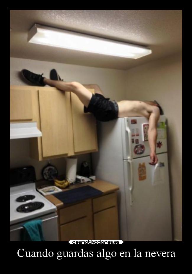 Cuando guardas algo en la nevera -