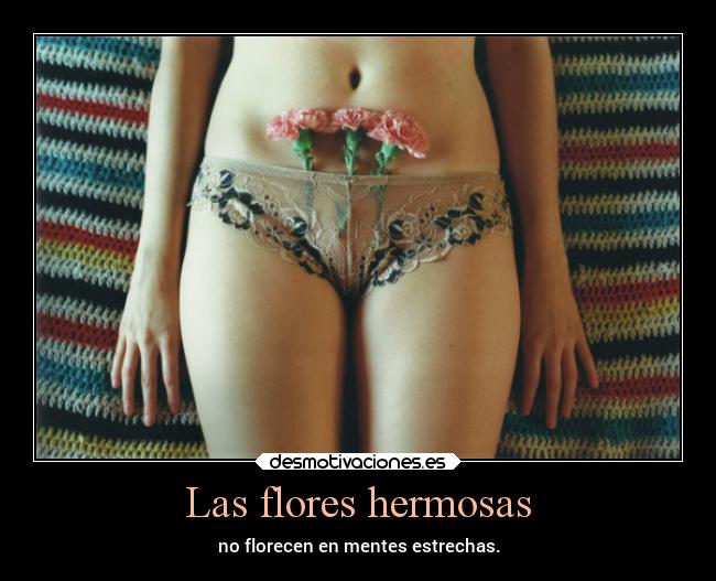 Las flores hermosas - no florecen en mentes estrechas.