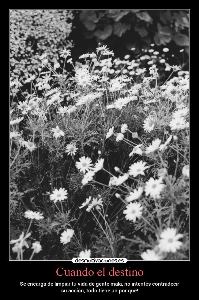 Cuando el destino -