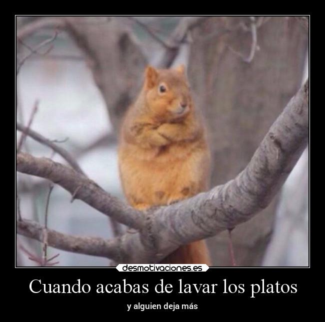 Cuando acabas de lavar los platos - y alguien deja más