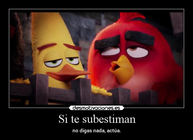 carteles frases motivaciones cine animales chuck red angry birds desmotivaciones