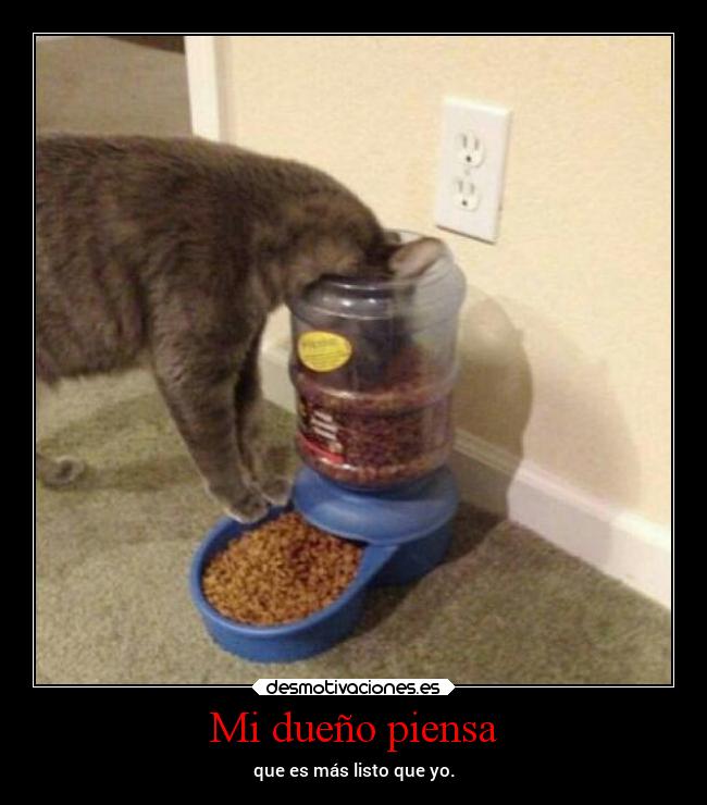Mi dueño piensa -