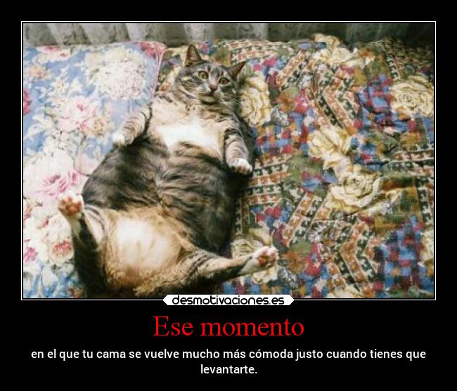 Ese momento - 