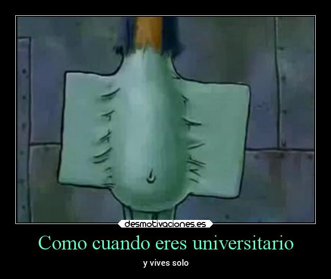 Como cuando eres universitario - y vives solo