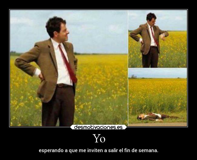 carteles humor desmotivaciones