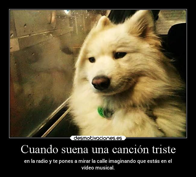 Cuando suena una canción triste - en la radio y te pones a mirar la calle imaginando que estás en el
vídeo musical.