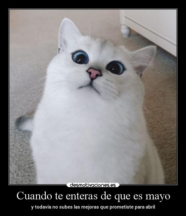 Cuando te enteras de que es mayo - 