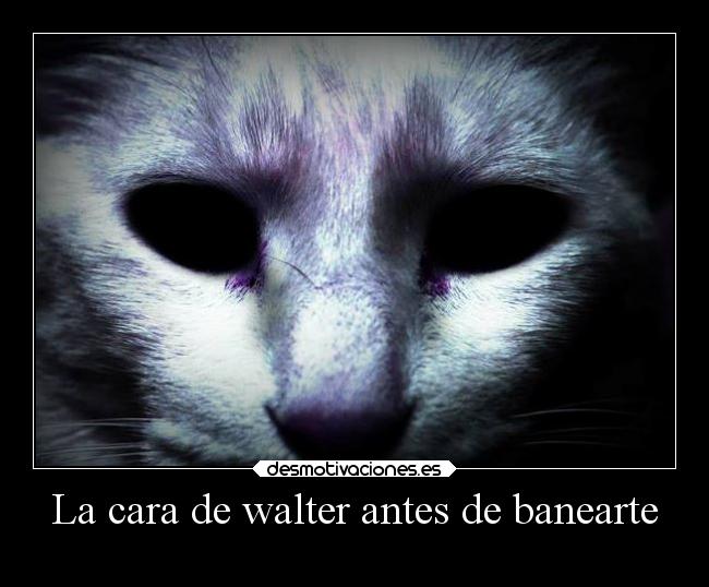 La cara de walter antes de banearte -