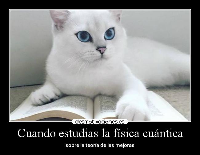 Cuando estudias la física cuántica - 