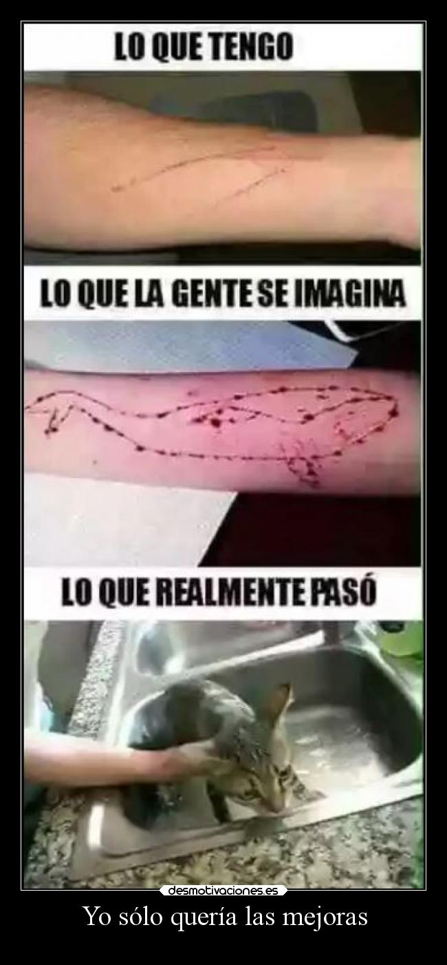 Yo sólo quería las mejoras - 